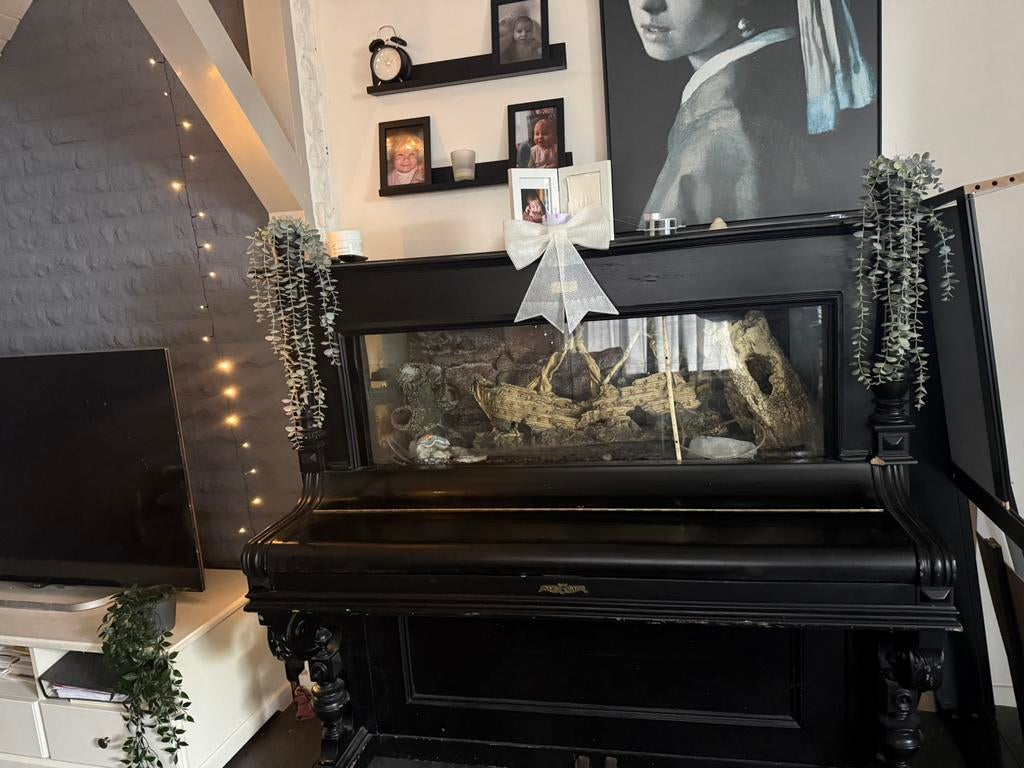 Aquarium/terrarium, Ophalen of Verzenden, Zo goed als nieuw, Zwart