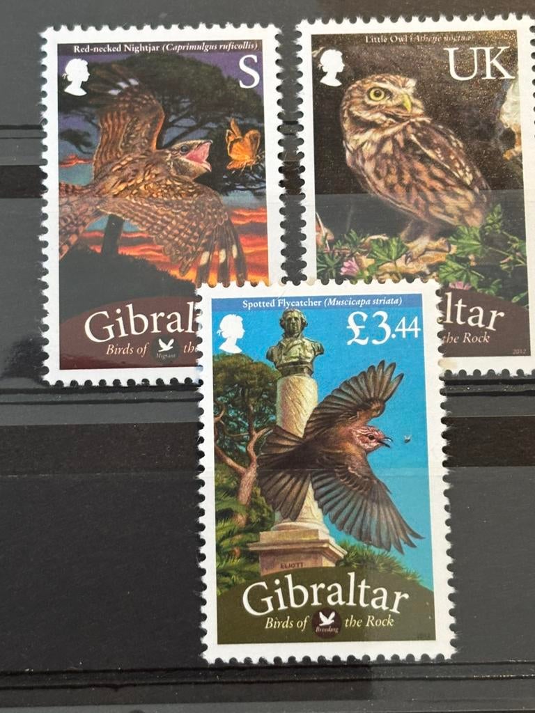 Vogel, Gibraltar 2012, Ophalen of Verzenden, Postfris, Dier of Natuur