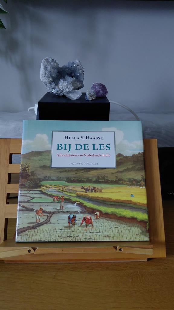 Bij de Les: Schoolplaten van Nederlands-Indië, Antiek en Kunst, Antiek | Schoolplaten, Ophalen of Verzenden, Geschiedenis