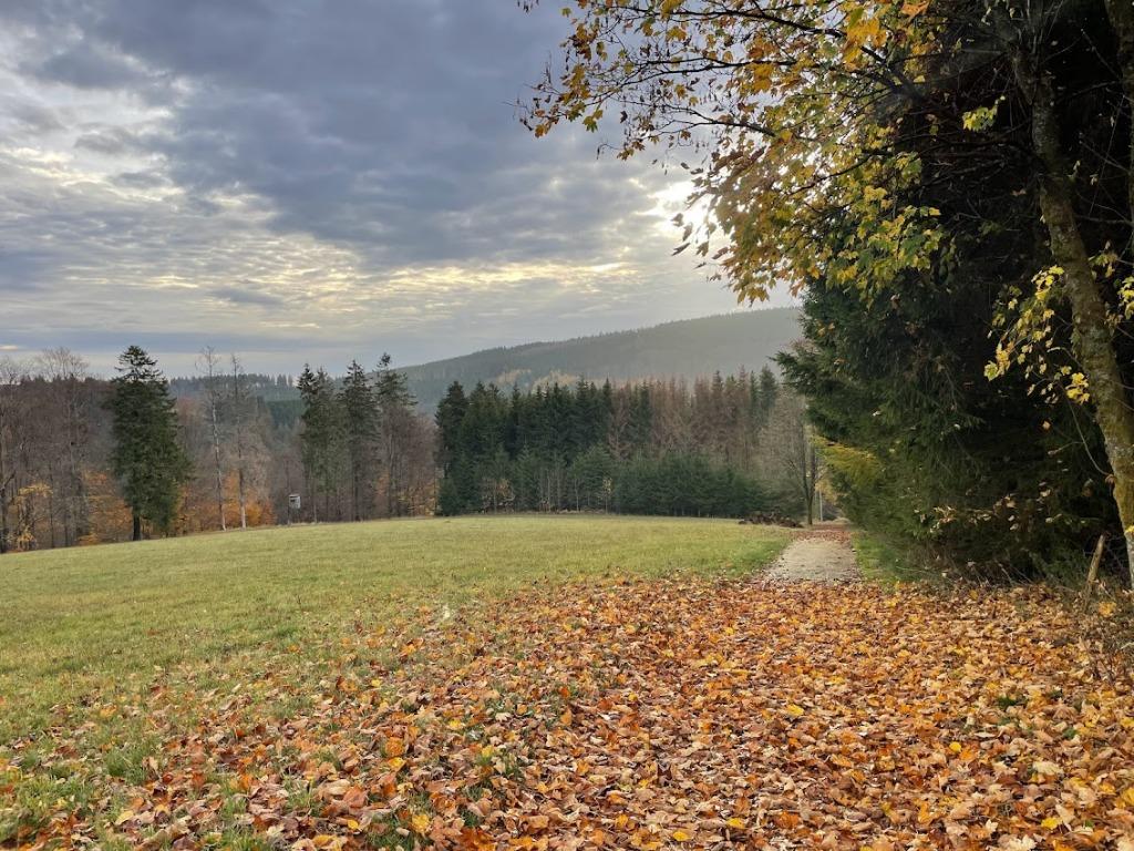 Foto 13 van Sfeervol vrijstaand huis dichtbij Winterberg en de natuur