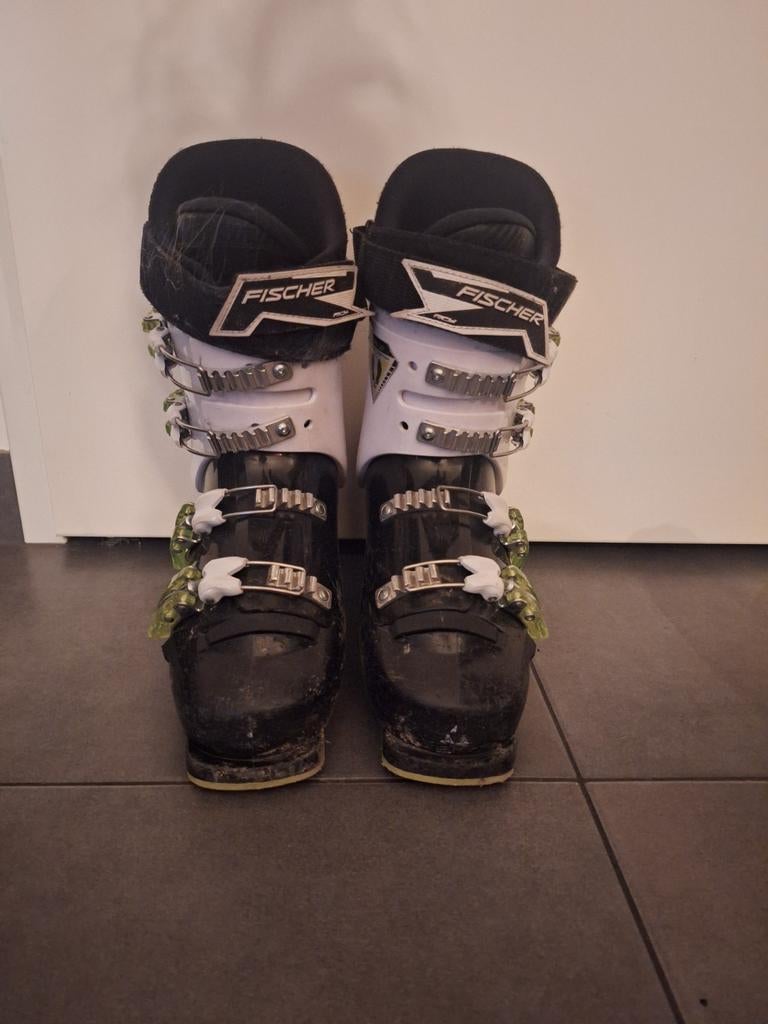 Fischer skischoenen maat 24.5 - goede staat, Schoenen, Ophalen of Verzenden, Skiën, Fischer