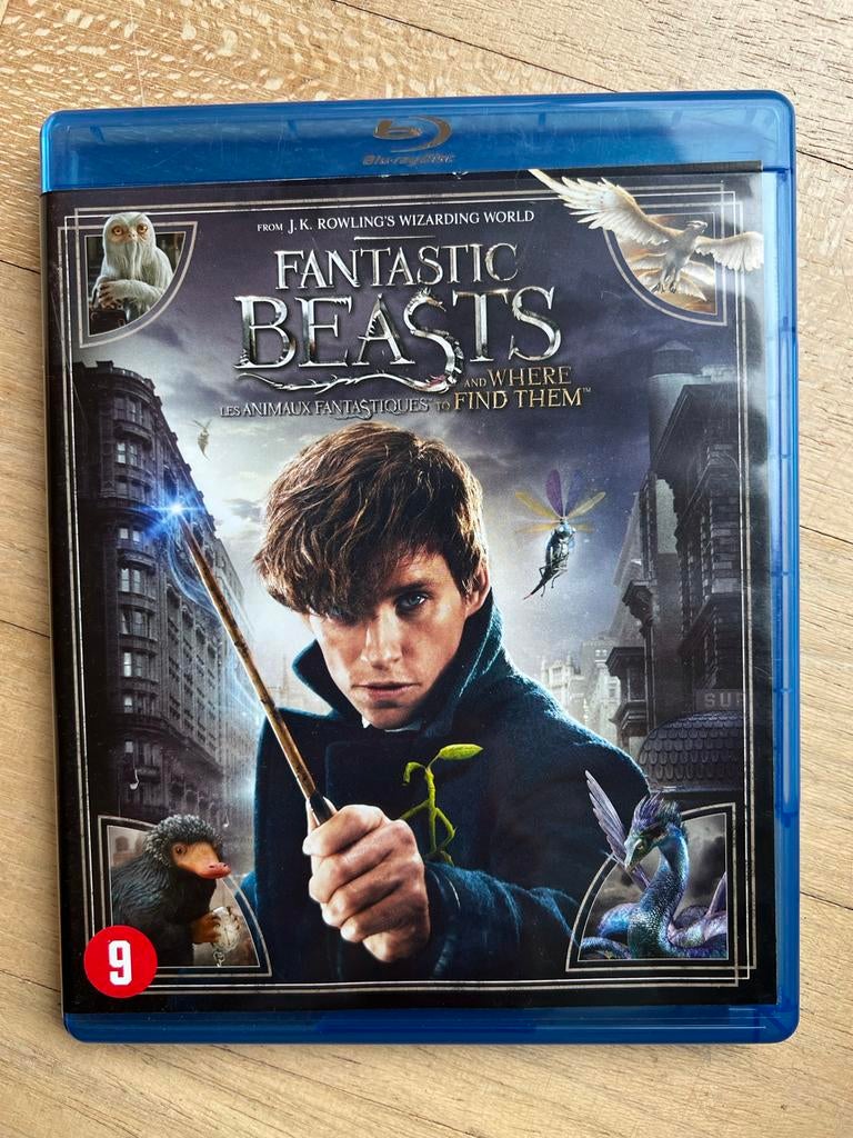 Blu-ray Fantastic Beasts, Cd's en Dvd's, Blu-ray, Ophalen of Verzenden, Zo goed als nieuw, Science Fiction en Fantasy