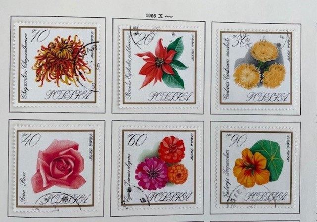 6x 1966 Tuinbloemen, Ophalen of Verzenden, Polen, Gestempeld