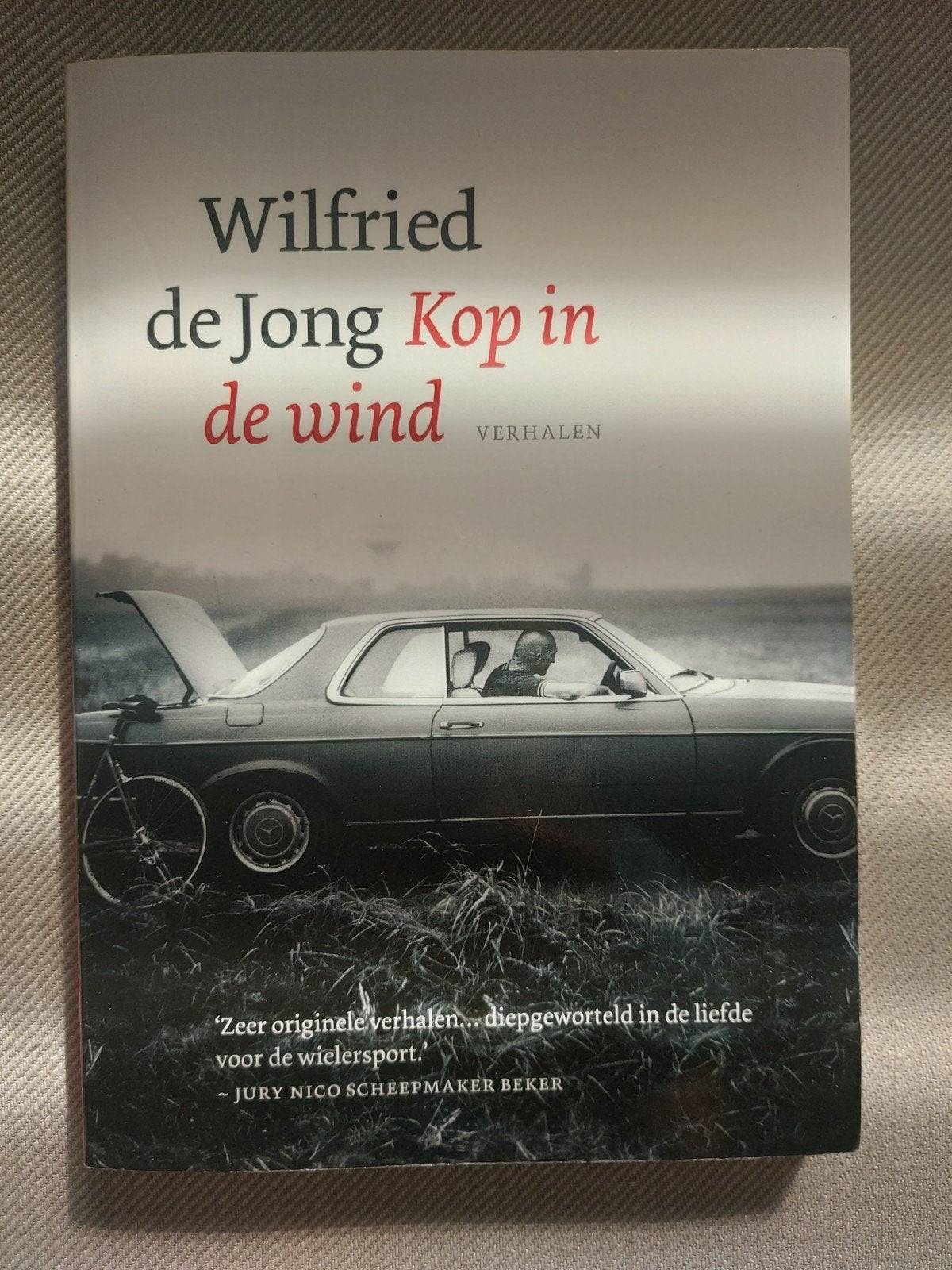 Wilfried de Jong - Kop in de wind (Verhalen), Ophalen of Verzenden, Zo goed als nieuw, Wilfried de Jong, Nederland