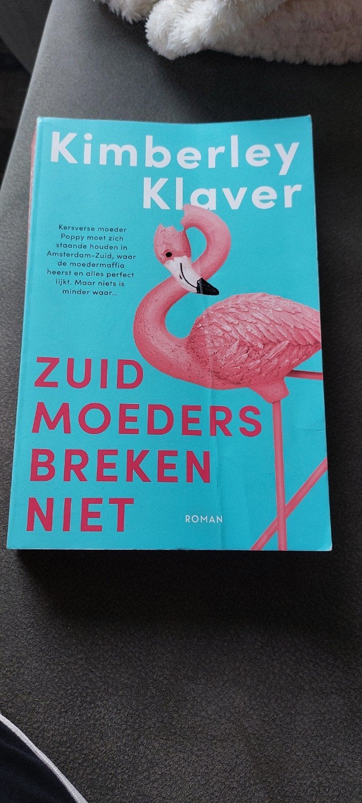 Zuid Moeders Breken Niet - Kimberley Klaver Roman, Ophalen, Zo goed als nieuw, Kimberley Klaver, Nederland