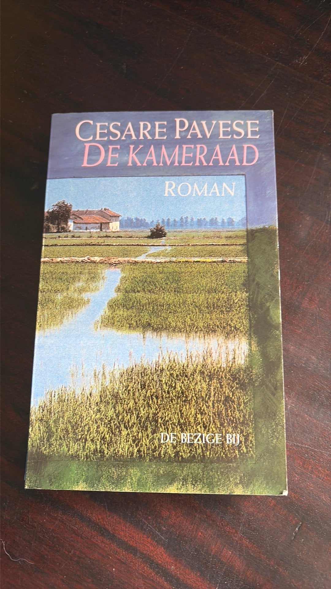 De Kameraad - Cesare Pavese, Boeken, Gelezen, Europa overig, Ophalen of Verzenden, Cesare Pavese