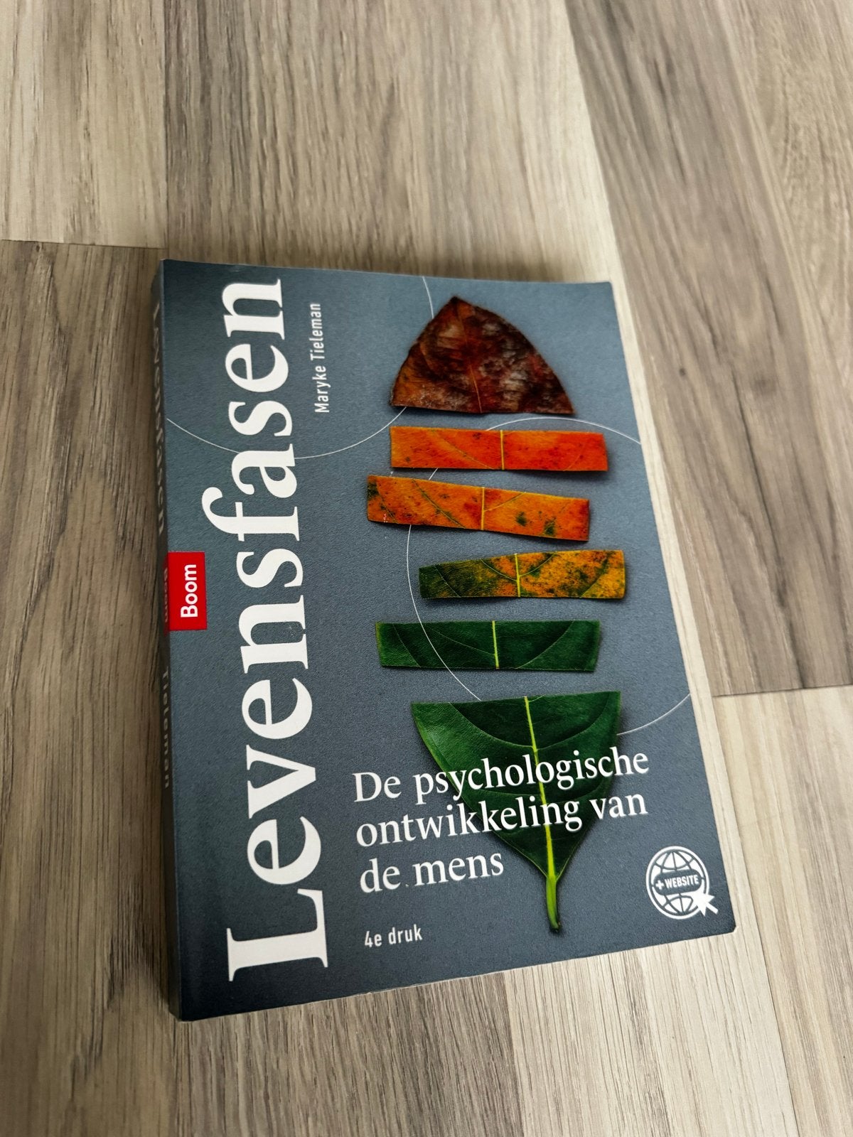 Levensfasen: De psychologische ontwikkeling van de mens, Boeken, Ophalen of Verzenden, Gamma, Zo goed als nieuw, HBO