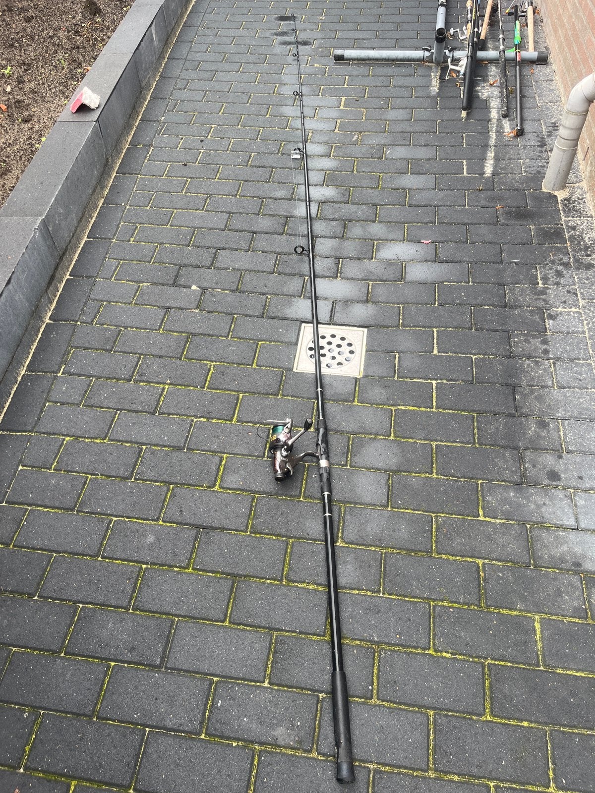 Mooie karperhengel met molen - weinig gebruikt, Watersport en Boten, Ophalen, Zo goed als nieuw, Werphengel