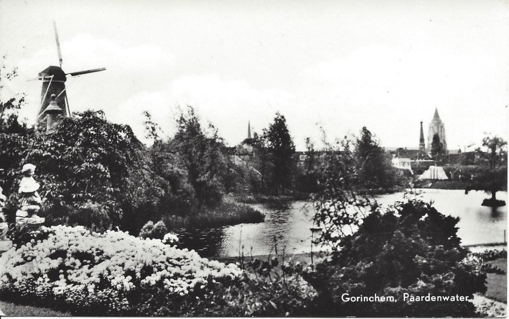 Gorinchem (Z.H.) Paardenwater, Molen, gelopen 1973, Ophalen of Verzenden, 1960 tot 1980, Gelopen, Zuid-Holland