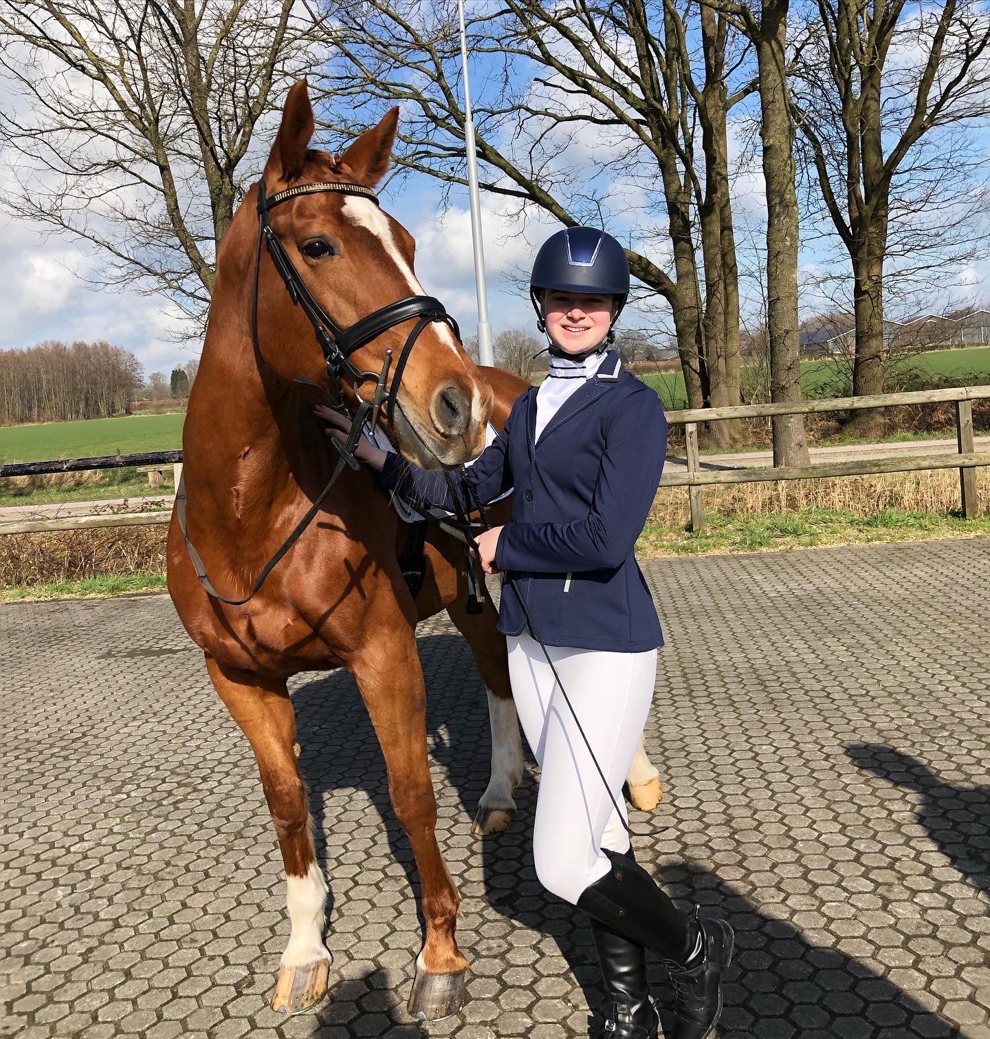 Caprice zoekt forever home, Dieren en Toebehoren, Paarden, Merrie, 11 jaar of ouder, Met stamboom, B