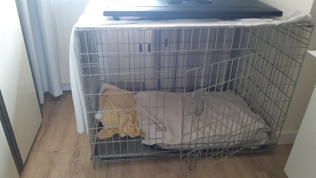 Honden bench groot, Dieren en Toebehoren, Ophalen, Gebruikt
