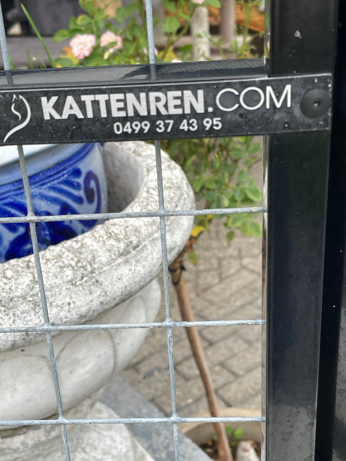 kattenren met dak, Kater