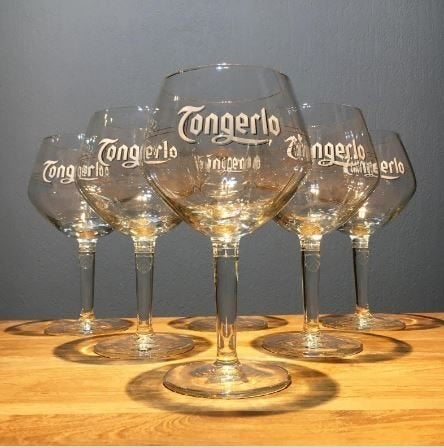 6 Tongerlo Bierbokalen 33 cl., Ophalen of Verzenden, Zo goed als nieuw, Glas of Glazen, Overige merken