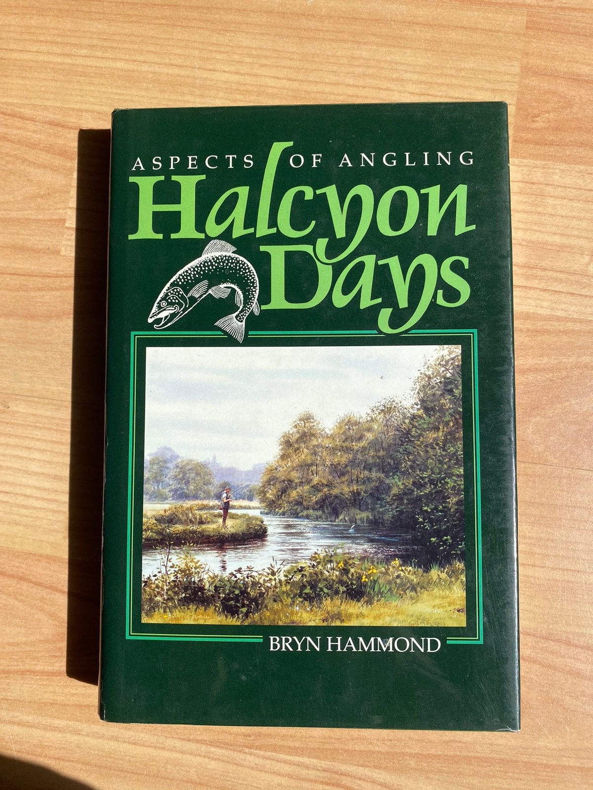 Halcyon Days van Bryn Hammond, Ophalen of Verzenden, Zo goed als nieuw, Overige typen