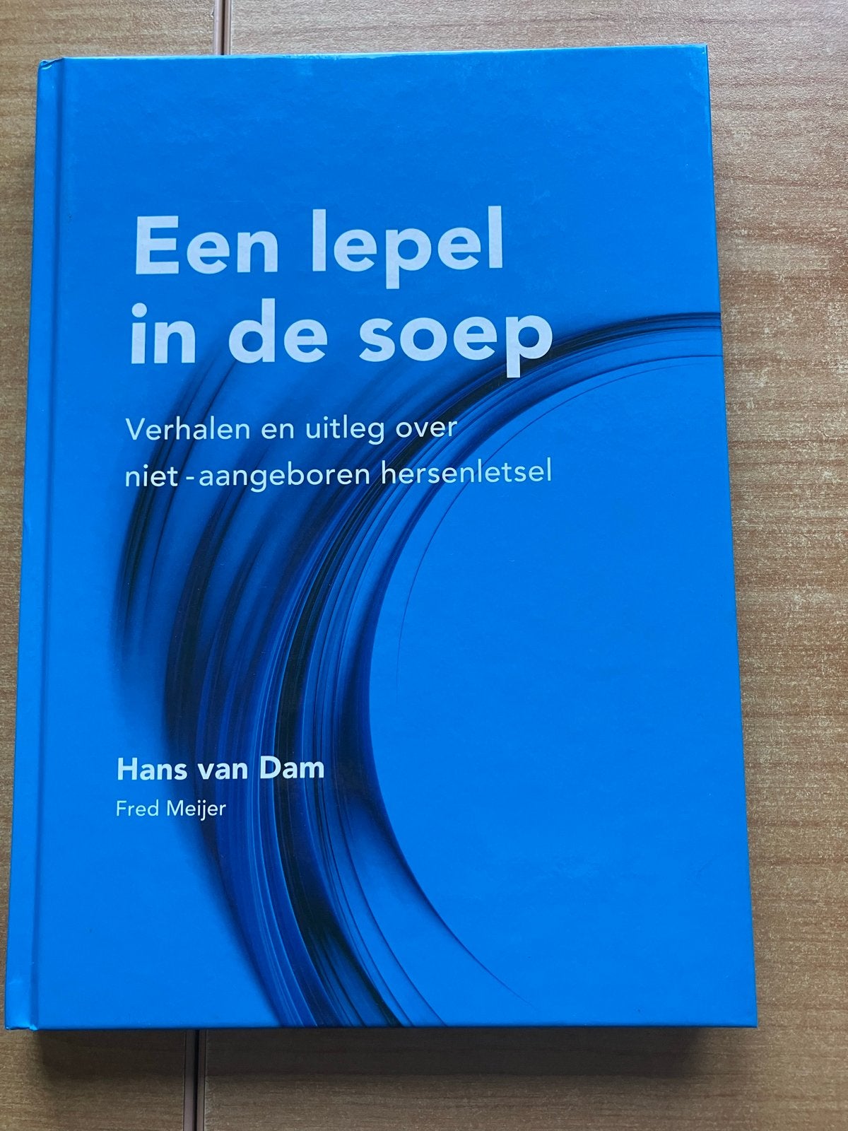 Boek. Hans van Dam - Een lepel in de soep, Boeken, Hans van Dam, Sociale wetenschap, Ophalen of Verzenden, Zo goed als nieuw