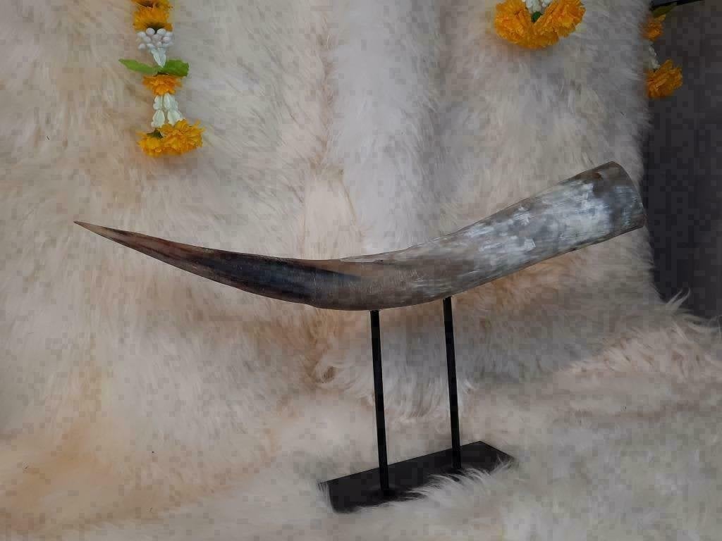 Watusi Hoorn Bewerkt op Luxe Stalen Voet, Verzenden, Westerndeco, Nieuw, Info@westerndeco.nl