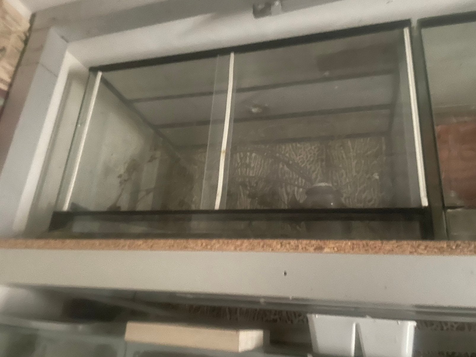 terrarium