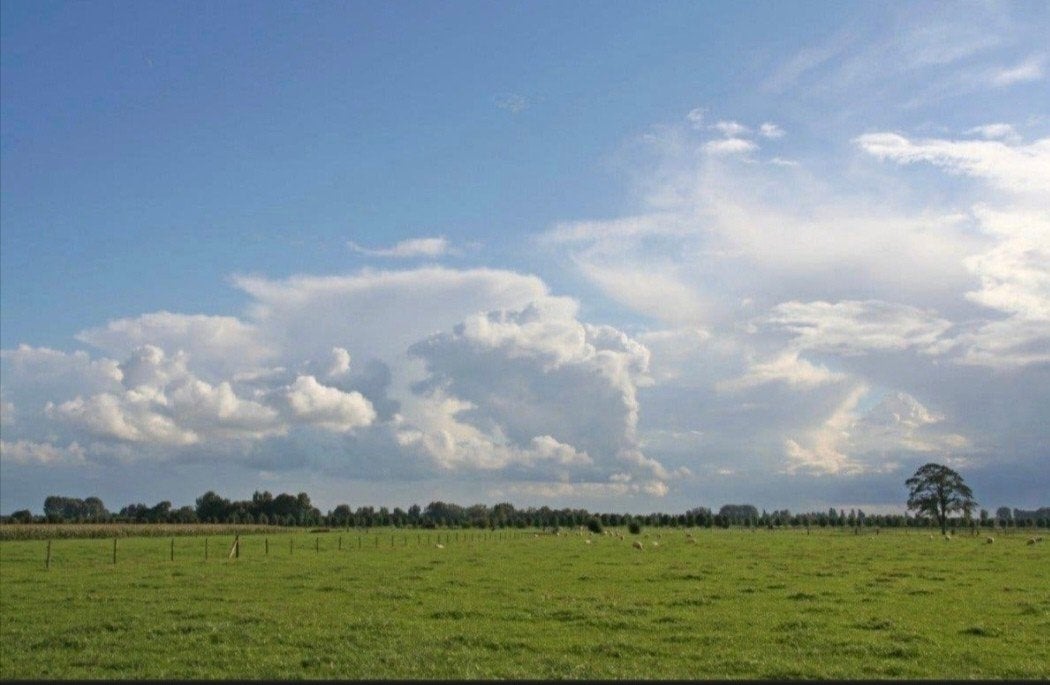 gezocht Weide, grond, stalling, Stalling, 4 paarden of pony's of meer