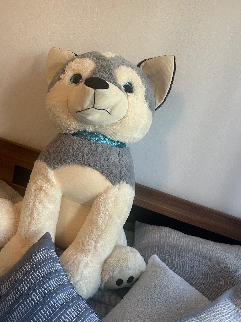 Teddybeer, Verzamelen, Ophalen, Nieuw, Stoffen beer, Overige merken