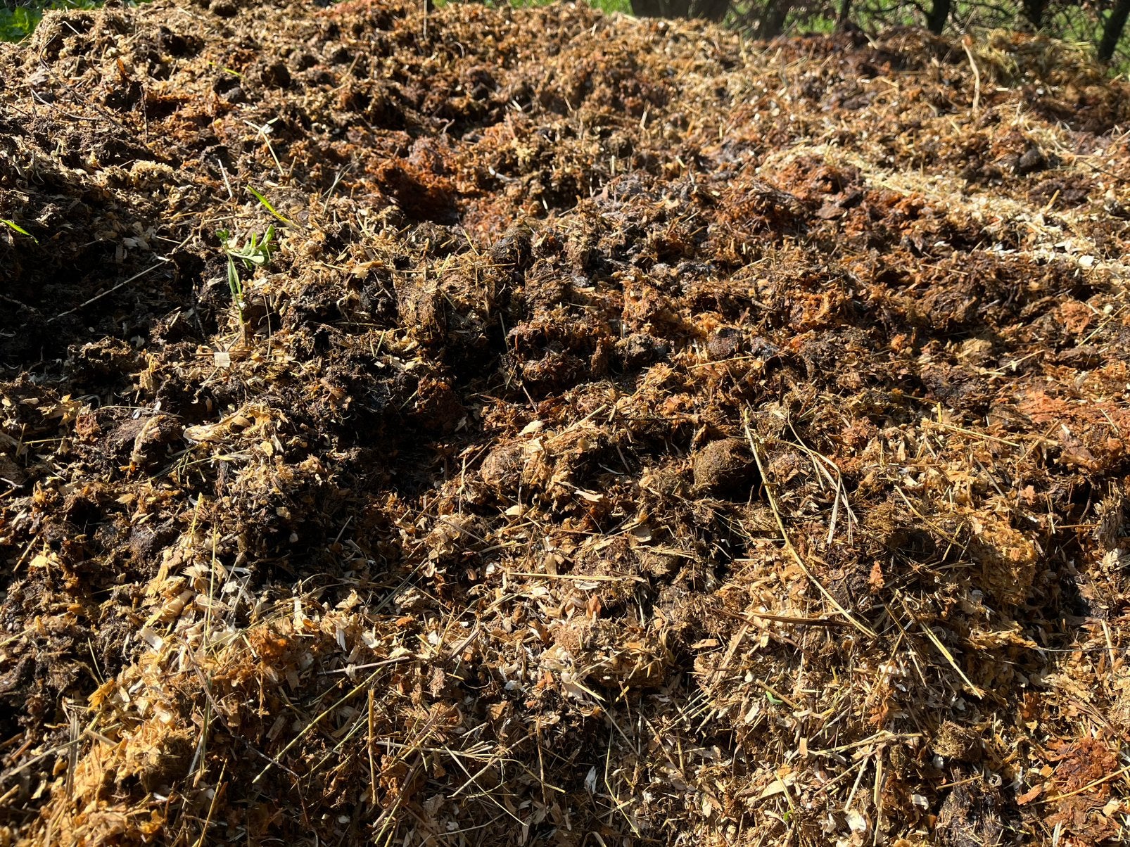 Zeer goeie paardenmest zonder andere troep er in, Tuin en Terras, Aarde en Mest, Ophalen, Mest