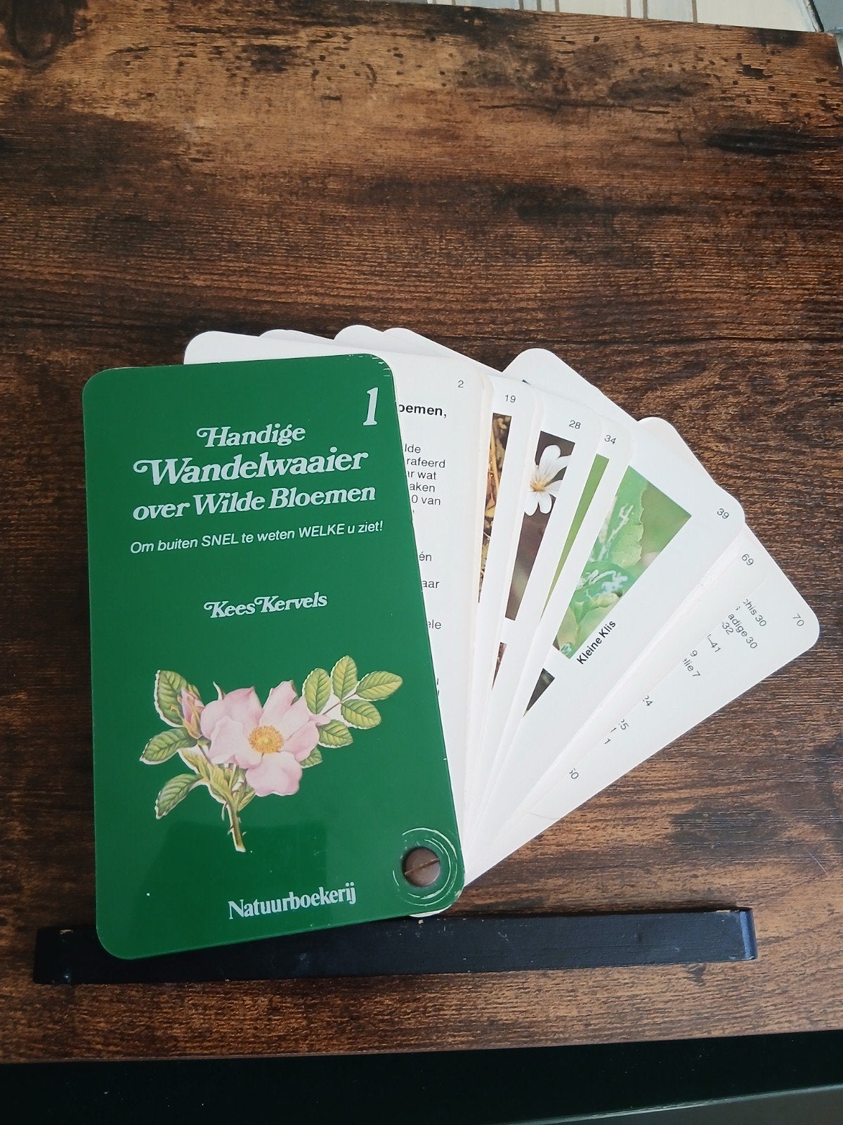 Handige Wandelwaaier over Wilde Bloemen - Kees Kervels, Boeken, Natuur, Ophalen of Verzenden, Zo goed als nieuw, Bloemen, Planten en Bomen