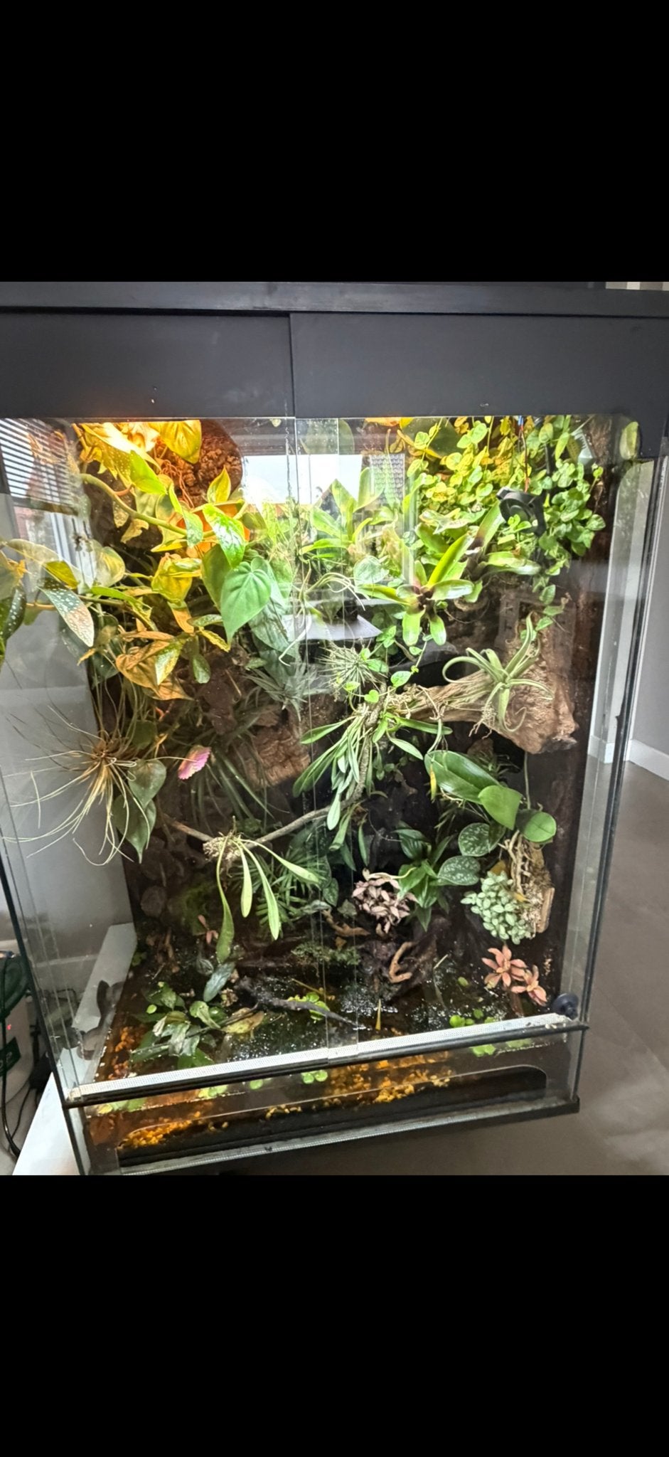 Paludarium 70x50x110, Ophalen, Terrarium of Paludarium