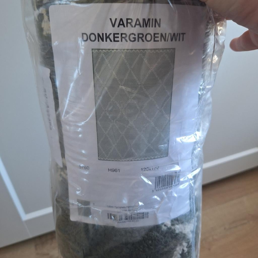 Nieuw Karwei Varamin vloerkleed donkergroen/wit 120x170 cm, 100 tot 150 cm, Nieuw, Ophalen of Verzenden, Modern, Geometrisch