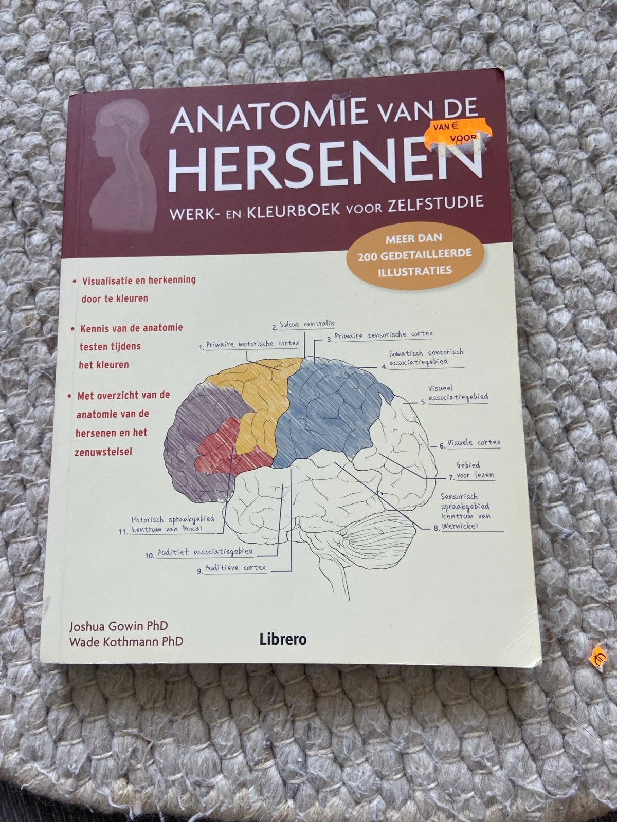 Anatomie van de Hersenen Werk- en Kleurboek, Boeken, Ophalen of Verzenden, Beta, Zo goed als nieuw, HBO