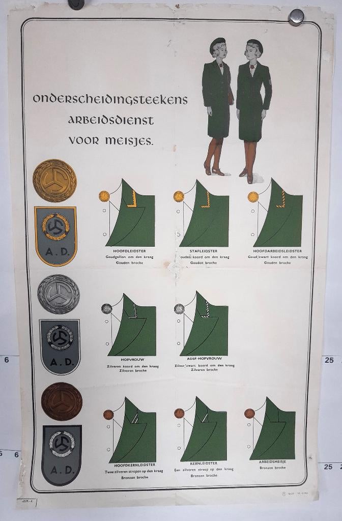 Originele poster Arbeidsdienst Vrouwen Onderscheidingen\, Verzenden, A1 t/m A3, Reclame, Rechthoekig Staand