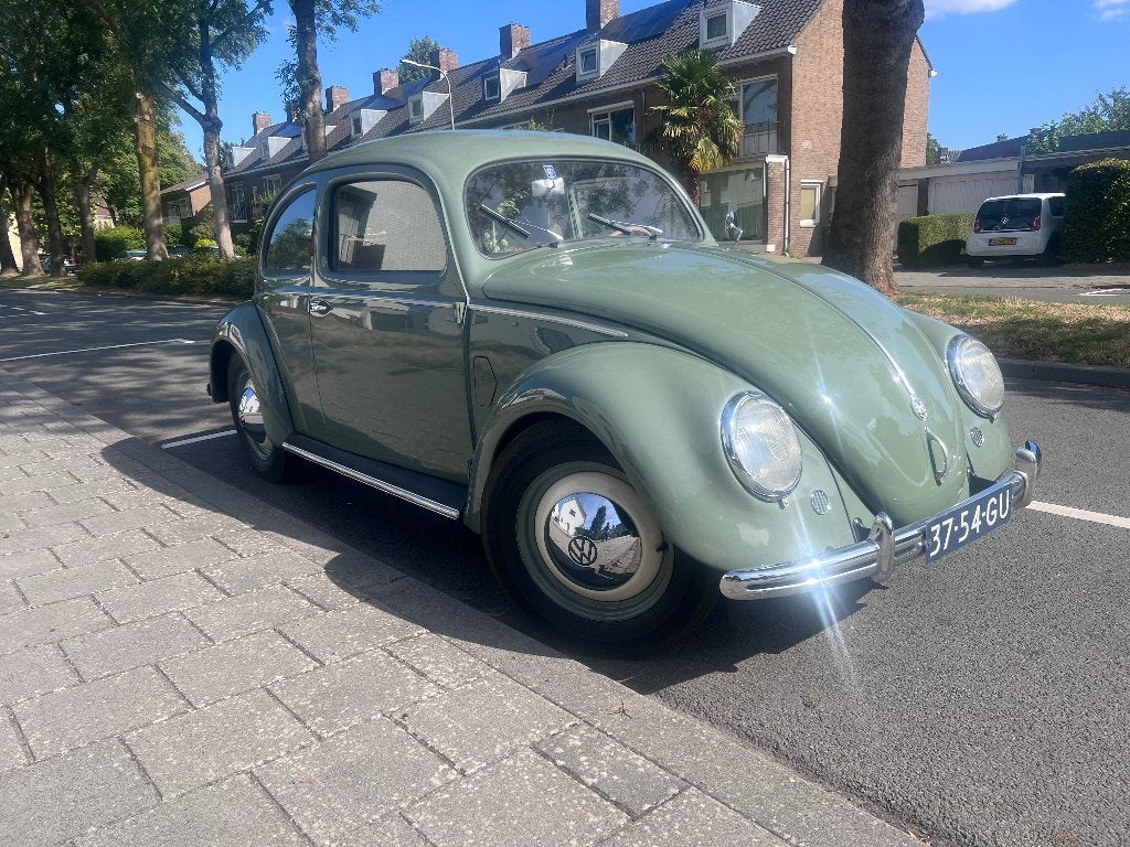 Oldtimer - Volkswagen "Brilkever" -1951-in uitmuntende staat, foto 3