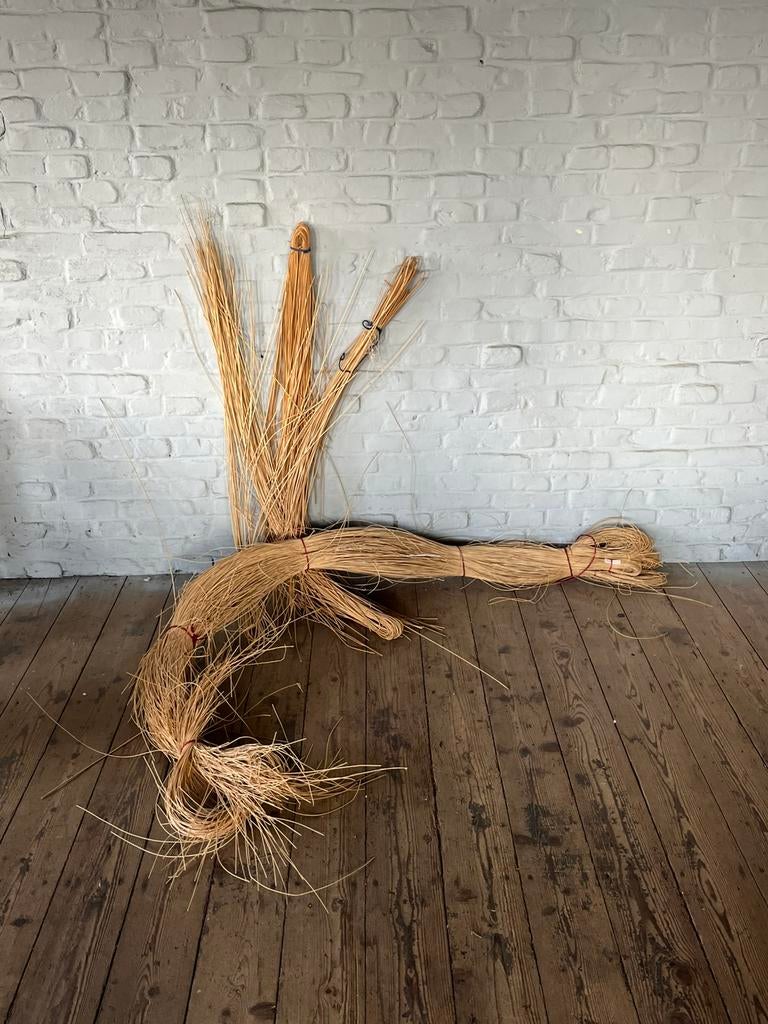 Grote bundel pitriet rattan, Ophalen, A, A, A