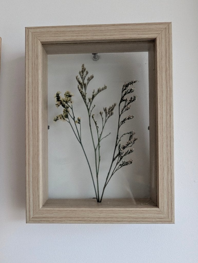 Ingelijste gedroogde bloemen in houten lijst, Antiek en Kunst, Kunst | Schilderijen | Klassiek, Bloemen, Origineel werk, Realistisch