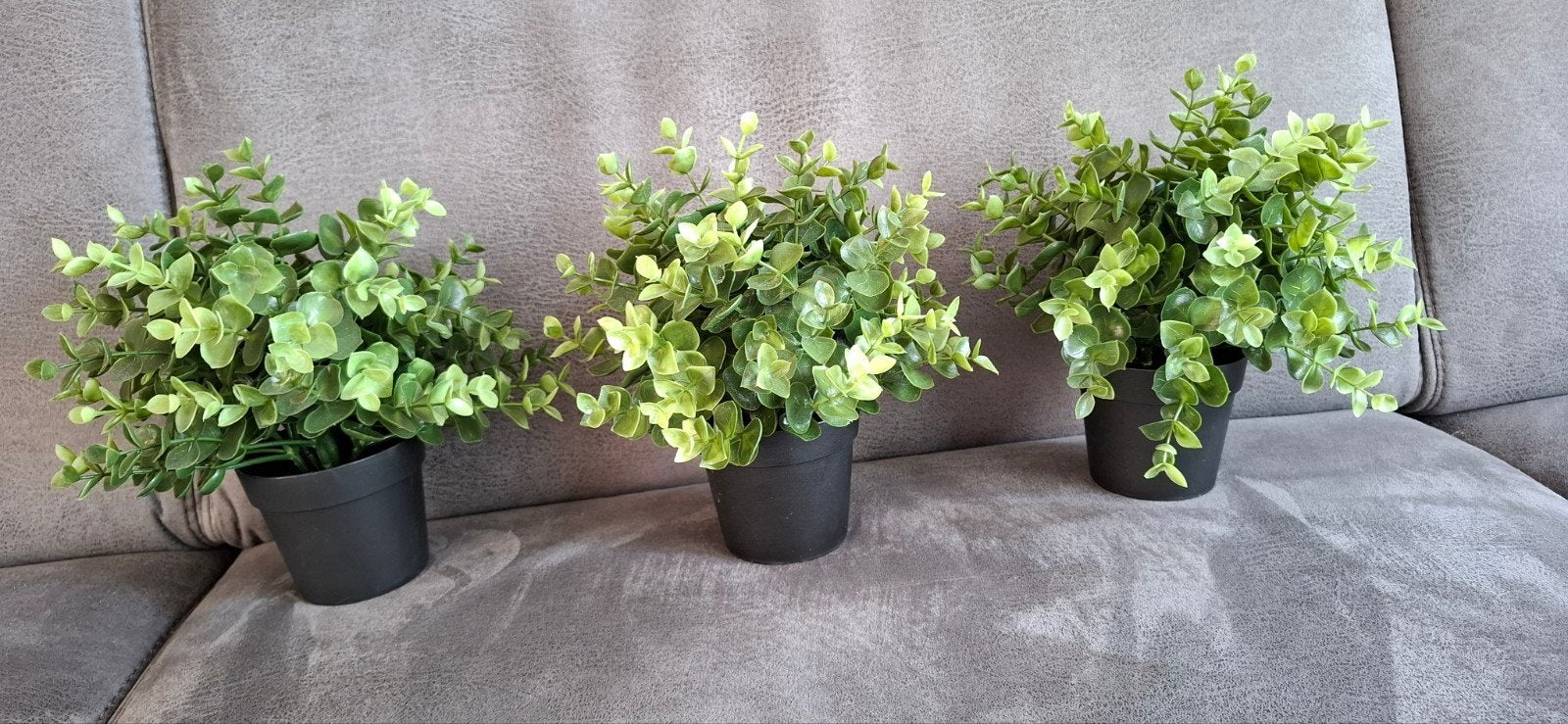 Ikea kunstplanten, Ophalen