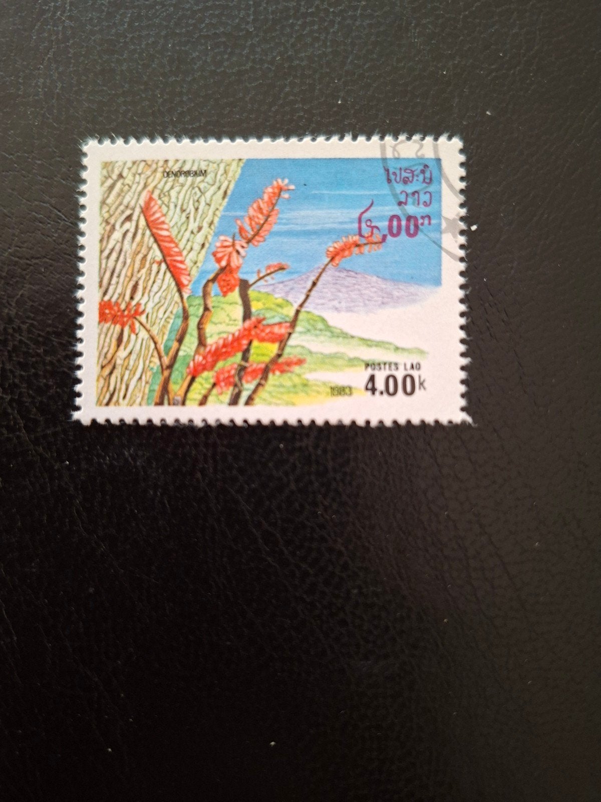 Bloemen.  Laos, Ophalen of Verzenden, Dier of Natuur