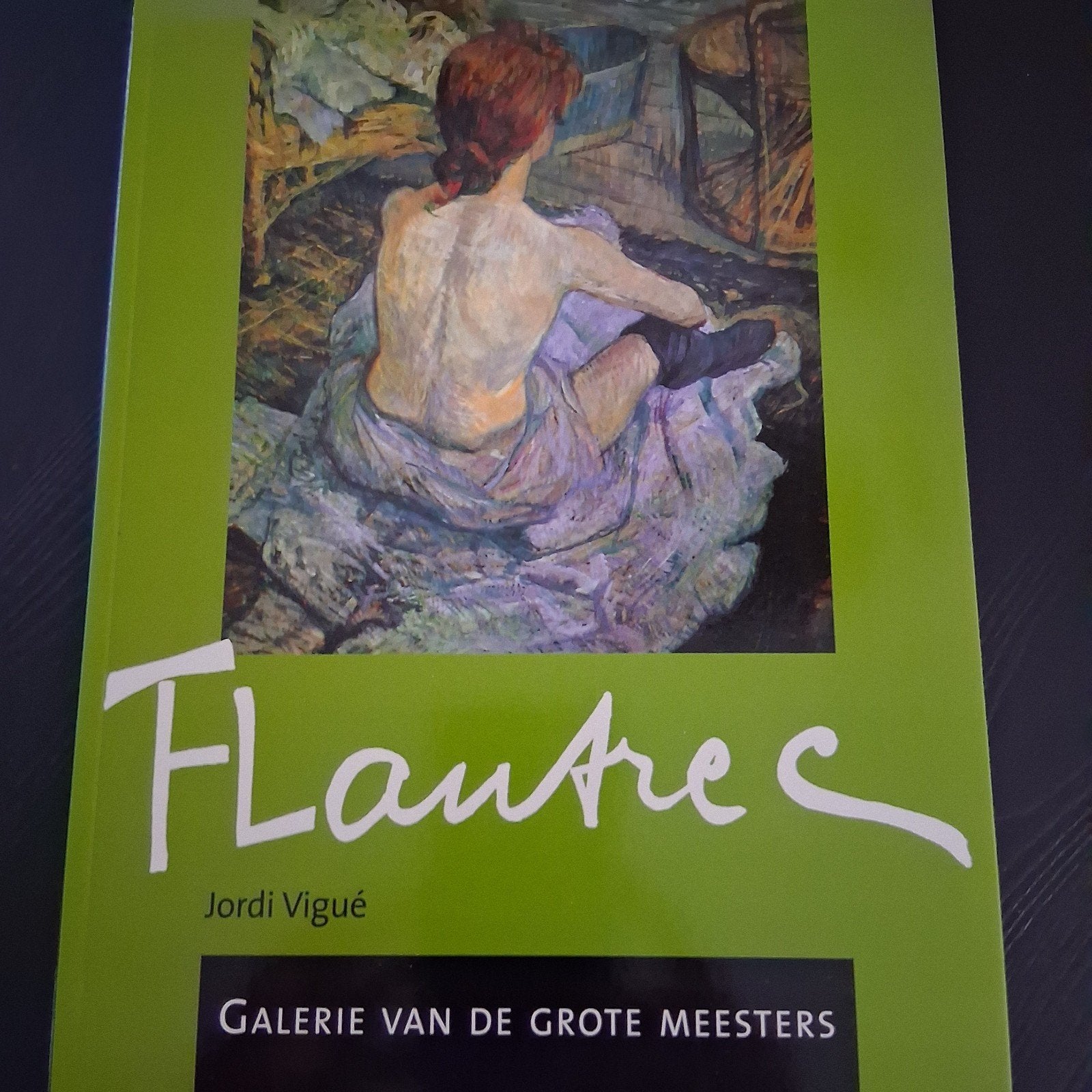 Toulouse Lautrec - Gallerie van de grote meesters, Boeken, Verzenden, Nieuw, Jordi Vigué