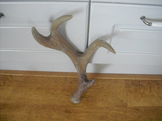 hertengewei, Ophalen of Verzenden, Nieuw, Hert, Beeldje of Figuurtje