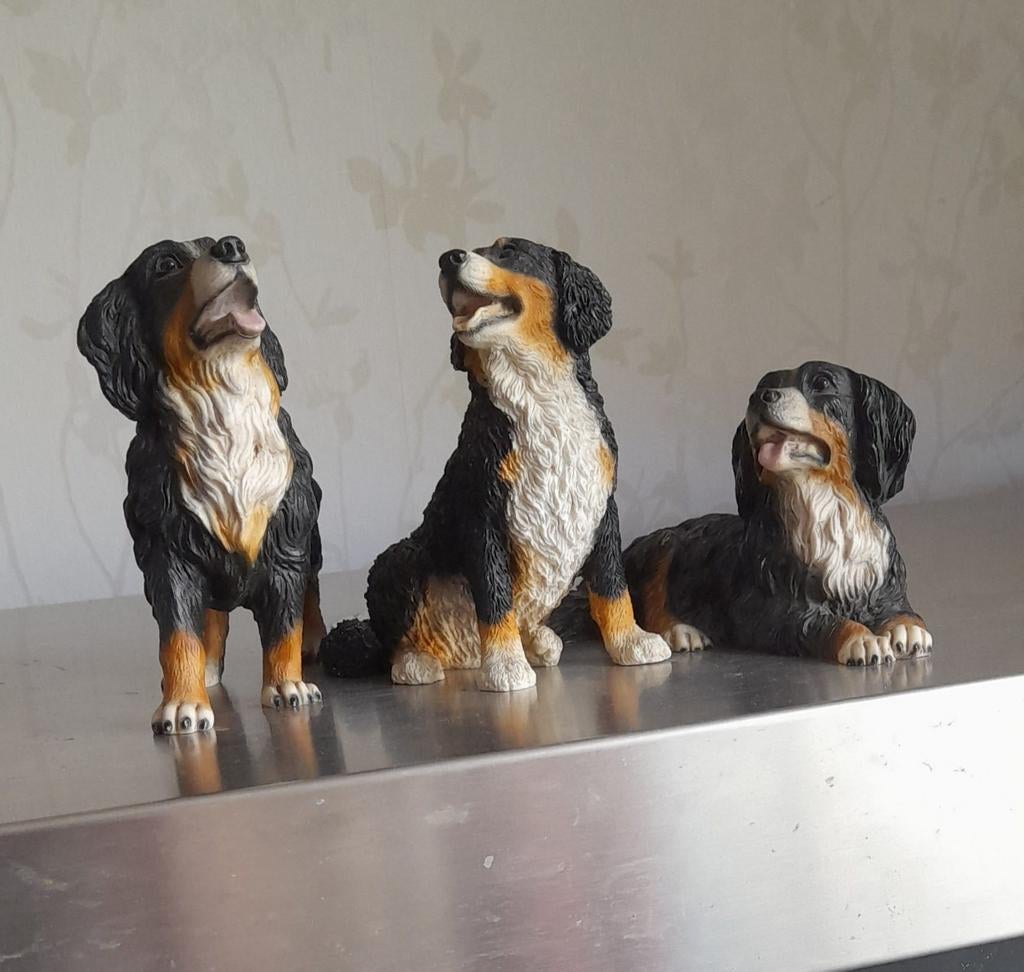 Te koop 3 beeldjes van de Berner Sennen hond, Dieren en Toebehoren, Honden-accessoires, Ophalen, Zo goed als nieuw