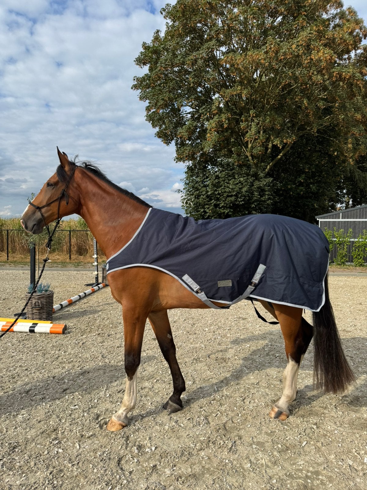 Verschillende 2e hands paardenspullen!, Ophalen, Gebruikt