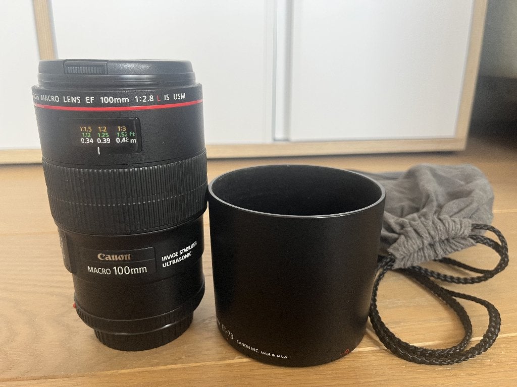 Canon EF 100mm f/2.8L Macro IS USM, Audio, Tv en Foto, Fotografie | Lenzen en Objectieven, Ophalen, Zo goed als nieuw, Macrolens