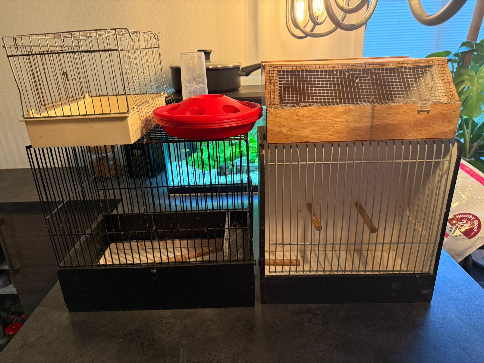 Vogel toebehoren tt kooien, vervoersbox ex accessoires, Ophalen, Gebruikt, Hout, Vogelkooi