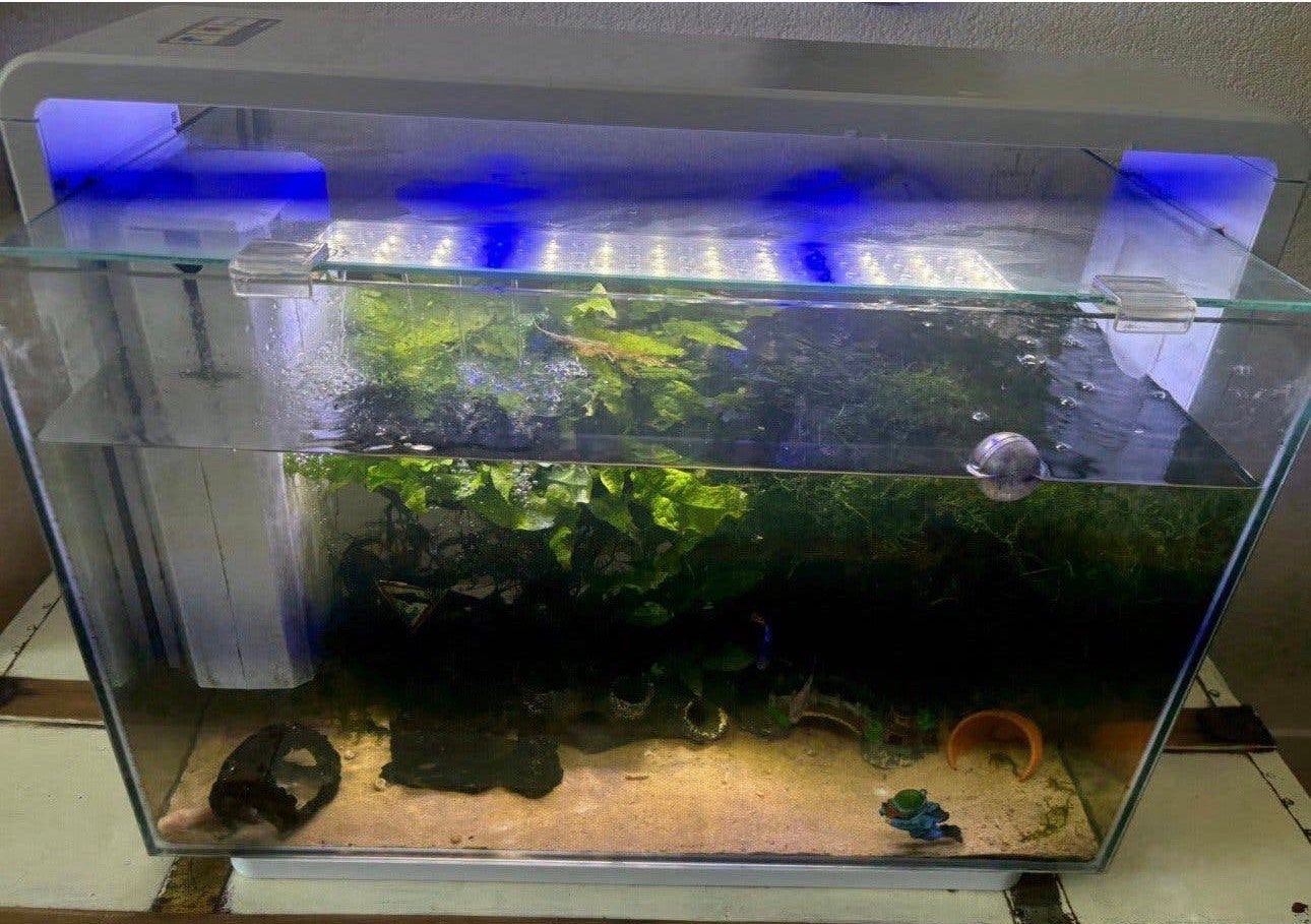 Aquarium Superfish home proled 65, Ophalen, Gebruikt, Inclusief deksel, Superfish