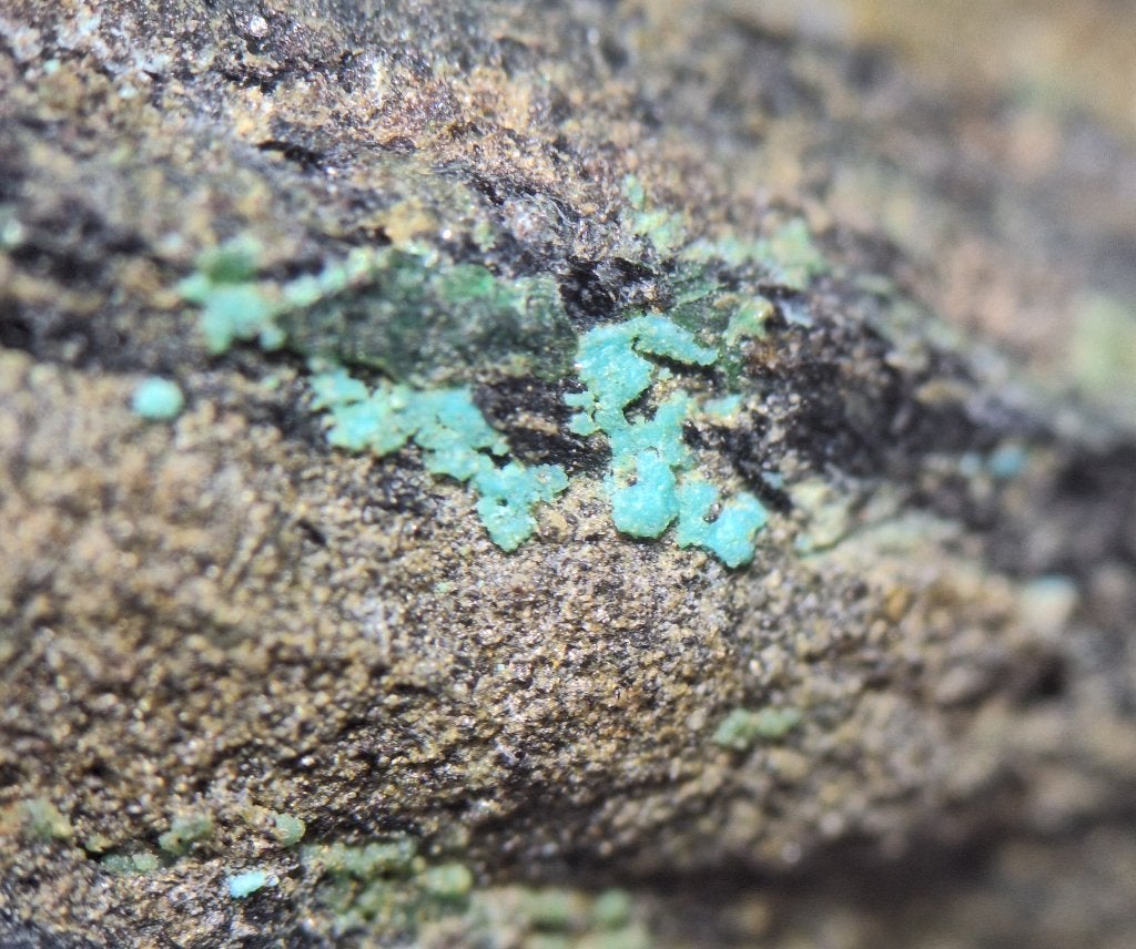 Nissoniet - Llanada Copper Mine, Californië, USA (tl), Ophalen of Verzenden