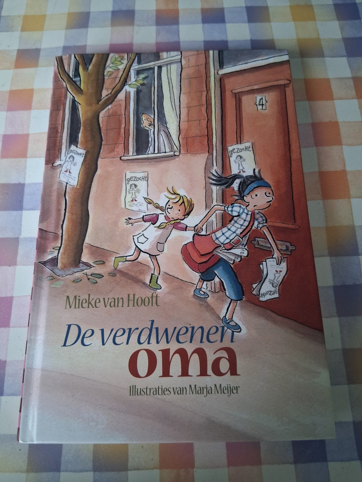 2in boek mieke van hooft - de verdwenen oma - oma verdacht, Ophalen of Verzenden, Zo goed als nieuw, Non-fictie