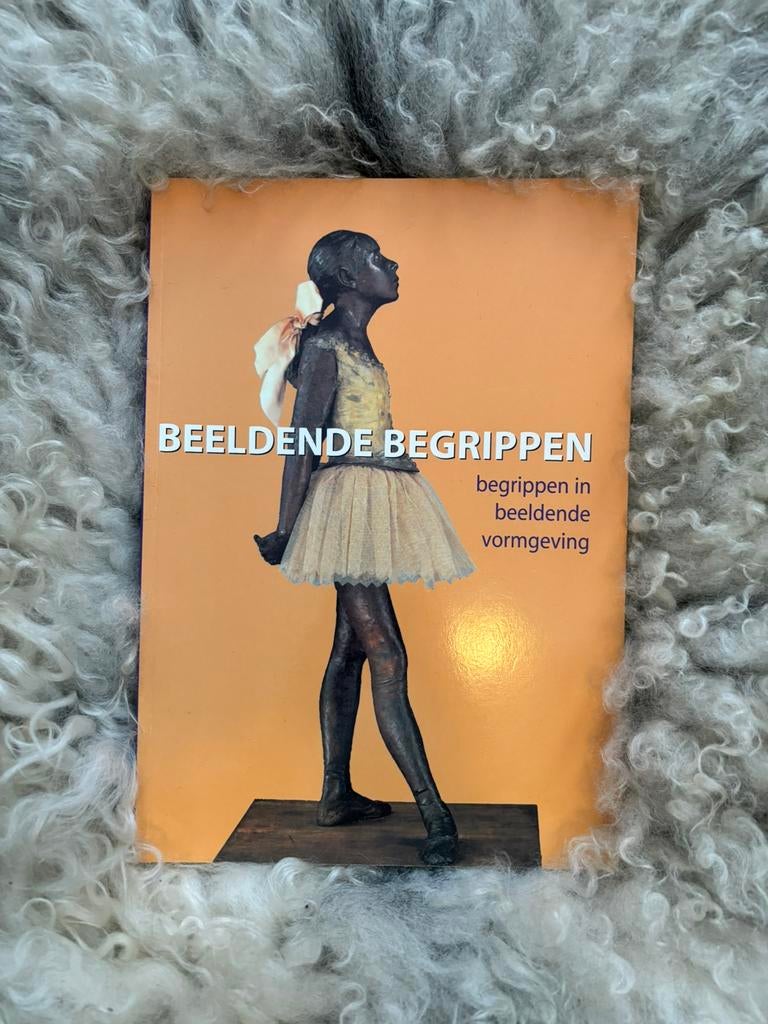 Boek A. Van den Borght - Beeldende bergippen met cd-rom, Ophalen of Verzenden, Zo goed als nieuw, A. Van den Borght; L.A.M. Boermans