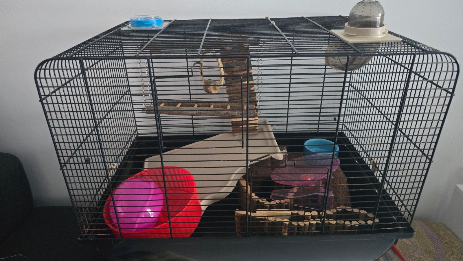 Hamsterkooi, Dieren en Toebehoren, Knaagdieren, Januari, Geslacht onbekend, Hamster