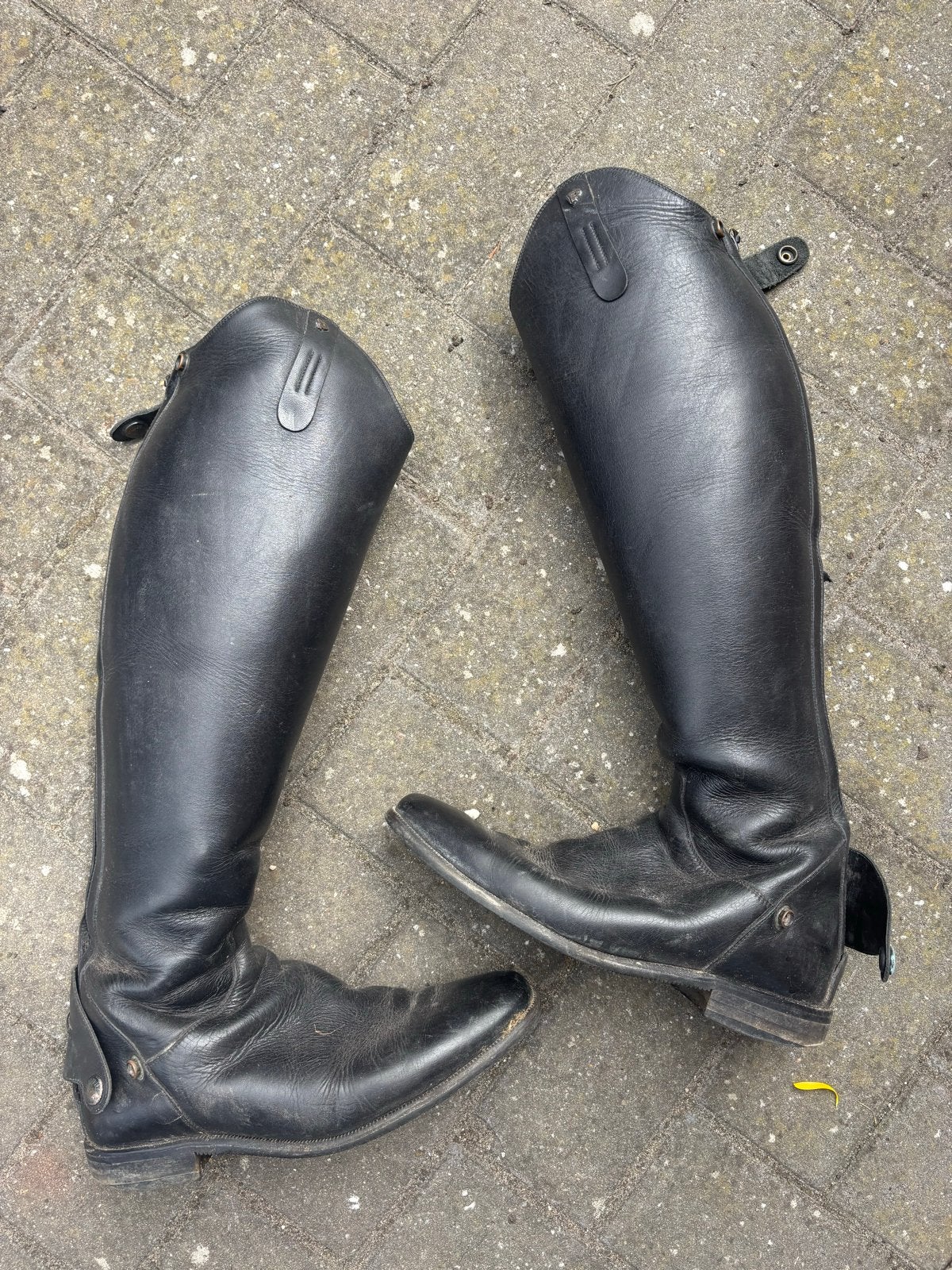 Petrie rijlaarzen, Ophalen of Verzenden, Gebruikt, Dressuur, Schoeisel
