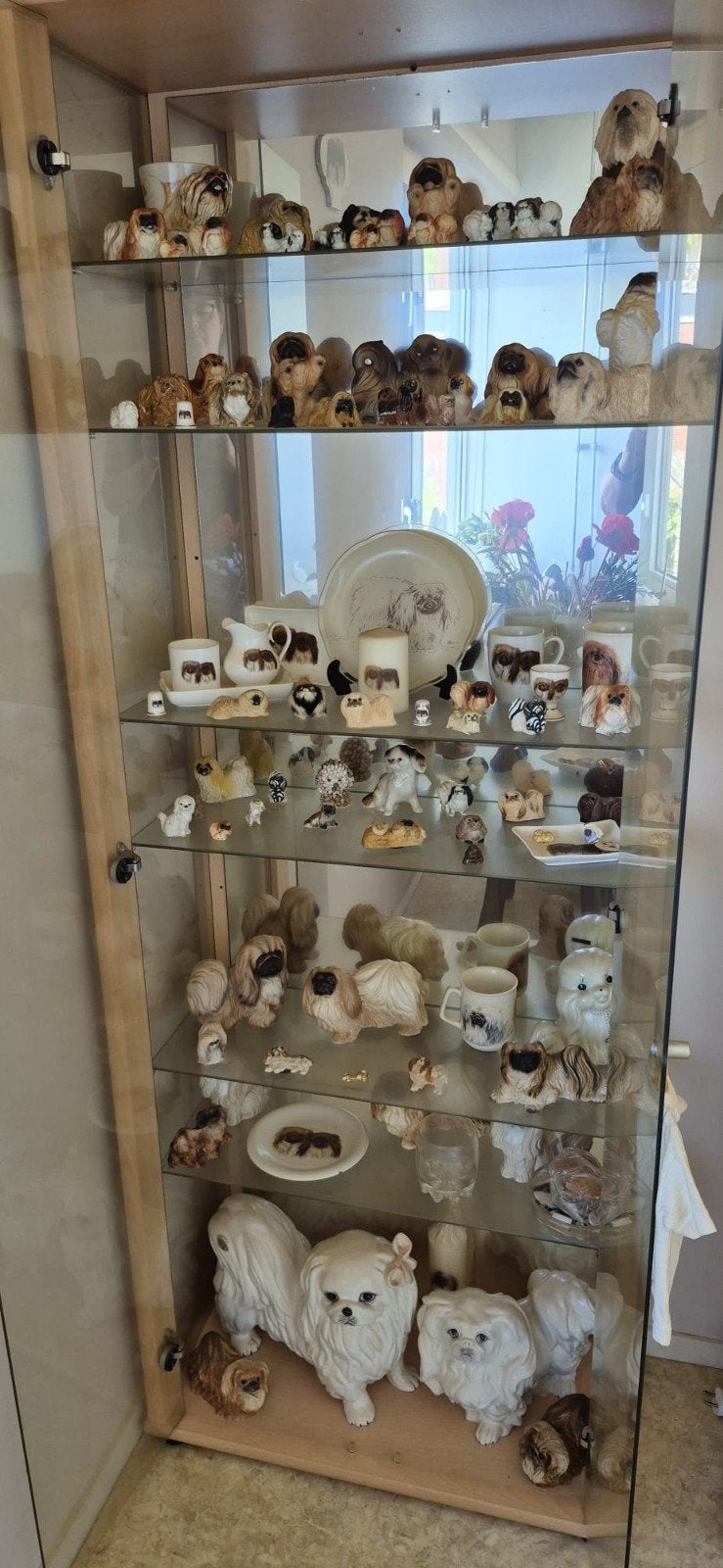 Verzameling pekingees / pekinees, Ophalen, Zo goed als nieuw, Dier