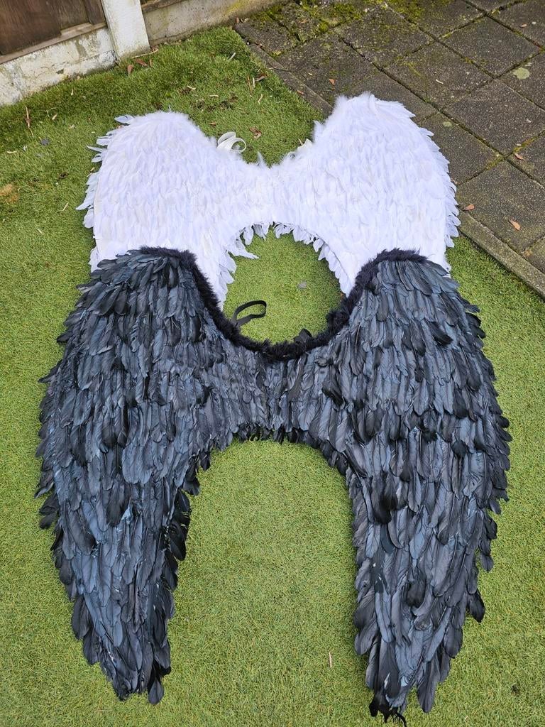 Engel vleugels groot formaat, Ophalen