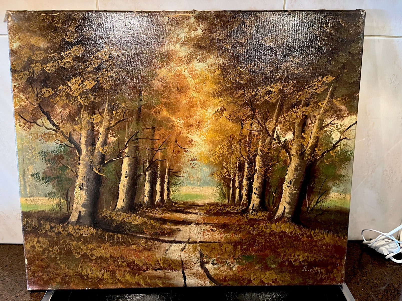 19 eeuws olieverf boss natuur schilderij, Ophalen