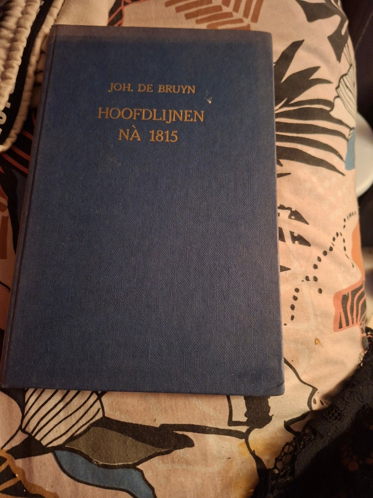 Hoofdlijnen Na 1815 - Joh. de Bruyn (Elfde Druk), HBO, Gamma, Joh. de Bruyn, Ophalen